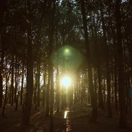 Carlotta's - Marina Apartment Vasto