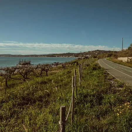 Carlotta's - Marina Vasto