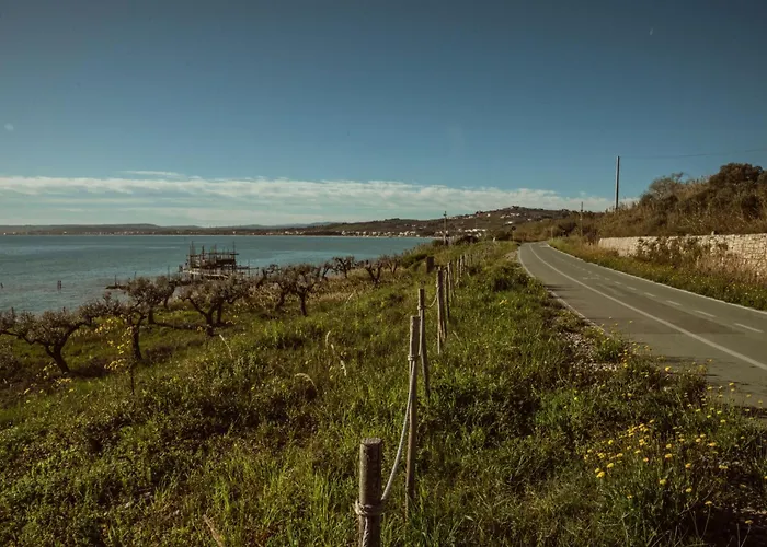 Carlotta's - Marina Vasto