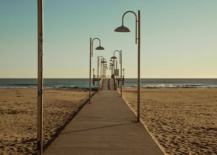 Carlotta's - Marina *